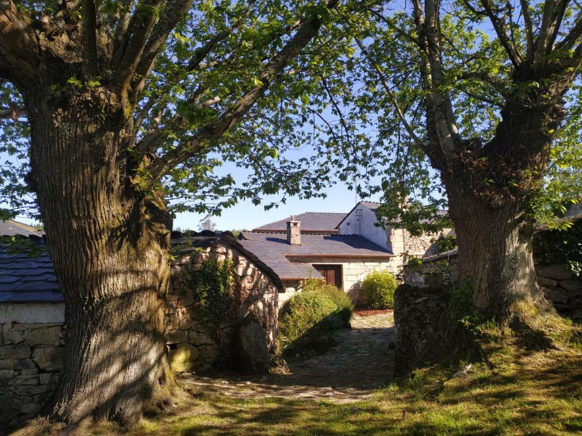 Гостьовий будинок Casa Roan Y Casa Grande Lodoso Екстер'єр фото
